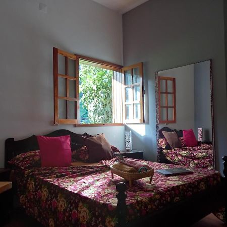 Divin'Art Bed & Breakfast Ribeira Grande Ngoại thất bức ảnh