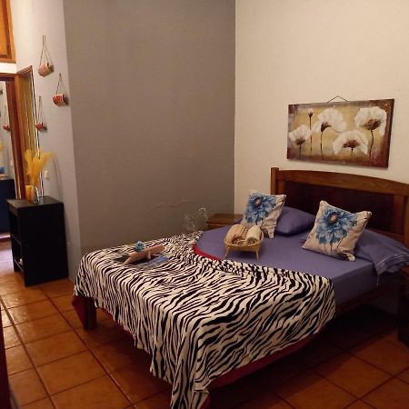 Divin'Art Bed & Breakfast Ribeira Grande Ngoại thất bức ảnh